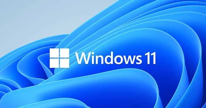 Hướng dẫn sử dụng WhyNotWin11 để kiểm tra khả năng nâng cấp lên Windows 11