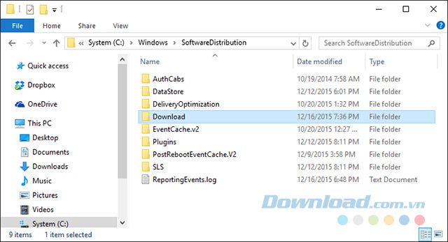 Bộ nhớ Cache Cập Nhật Windows 10