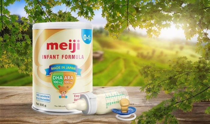 Sữa bột Meiji Infant Formula 800g (0 - 12 tháng)