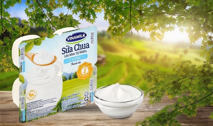 Danh sách 4 hộp sữa chua ít đường Vinamilk 100g (dành cho trẻ từ 1 tuổi)