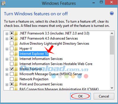 Hướng dẫn gỡ bỏ hoàn toàn Internet Explorer trên máy tính