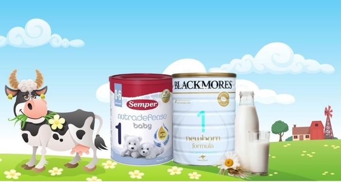 Nên chọn sữa Semper số 1 hoặc sữa bột Blackmores NewBorn Formula số 1 900g (0 - 6 tháng)