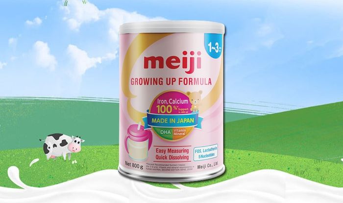 Sữa bột Meiji Growing Up Formula 800g (12 - 36 tháng)