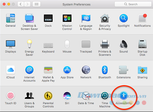 Bước đầu, hãy mở System Preferences và chọn Accessibility