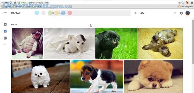 Những thủ thuật cần biết với Google Photos