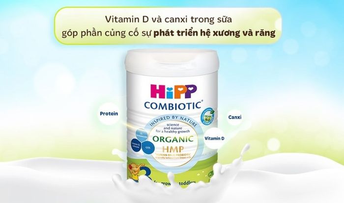 Sữa bột HiPP Organic Combiotic số 3 800g (1 - 3 tuổi)