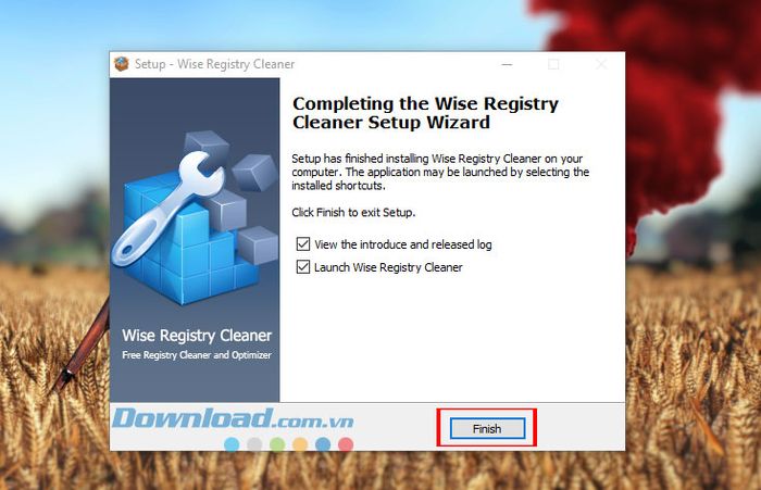 Hướng dẫn sử dụng Wise Registry Cleaner