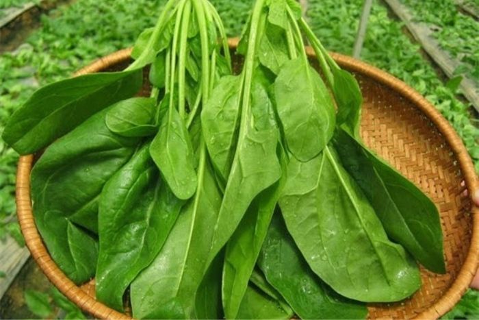 Cải bó xôi là thành phần không thể thiếu trong cháo cá hồi cải bó xôi