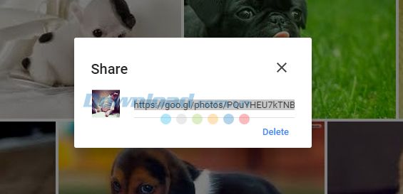 Những kỹ năng không thể bỏ qua với Google Photos