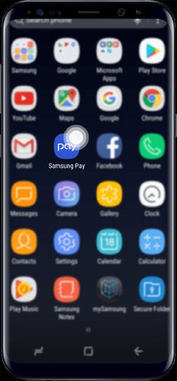 Samsung Pay