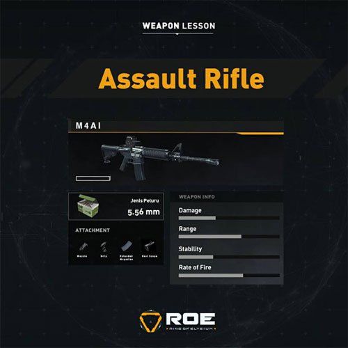 ROE AR