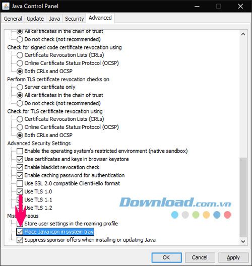 Cuối cùng, để kết thúc quá trình cấu hình, hãy đảm bảo rằng bạn đã chọn tùy chọn <strong>Place Java icon in system tray</strong> trong phần <strong>Miscellaneous</strong> ở <strong>Tab Advanced</strong> của cửa sổ cài đặt Java.