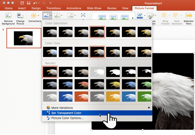 Hướng dẫn tạo hình ảnh trong suốt trong PowerPoint 2016