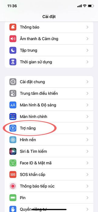 Hướng dẫn điều khiển TikTok bằng giọng nói trên iPhone 1406514