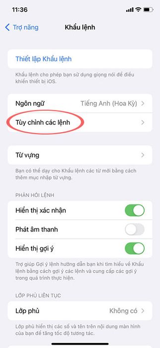 Hướng dẫn điều khiển TikTok bằng giọng nói trên iPhone 9406519