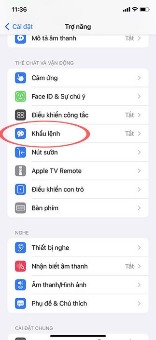 Hướng dẫn điều khiển TikTok bằng giọng nói trên iPhone 2406516