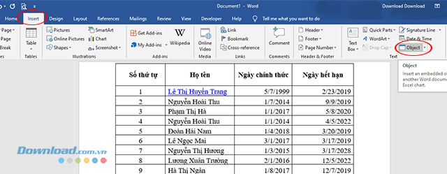 Chèn Excel vào Word