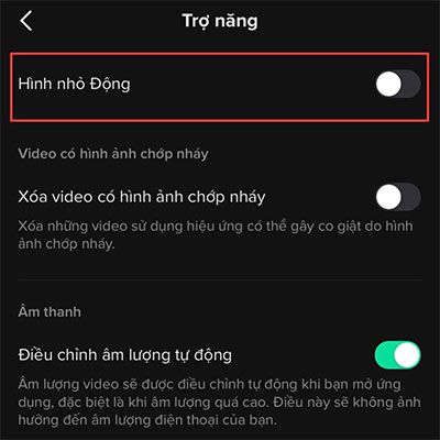 Hiệu ứng Hình Nhỏ Động