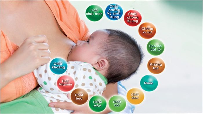Có nên hâm nóng sữa mẹ mới vắt ra không
