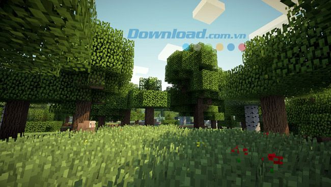 rừng trong game minecraft