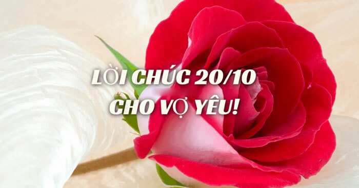 Lời chúc ý nghĩa cho ngày 20/10 dành tặng vợ