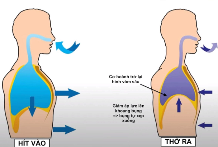 Kỹ thuật hít thở đúng là quan trọng trong việc chạy nhanh, duy trì sức khỏe và sức bền.