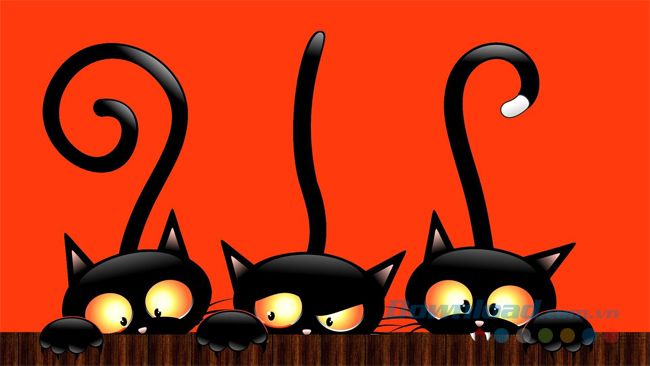Hình nền Halloween