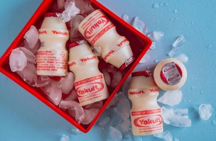 Uống Yakult hàng ngày mang lại nhiều lợi ích cho sức khỏe