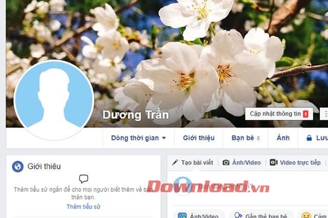 Giao diện cá nhân trên Facebook