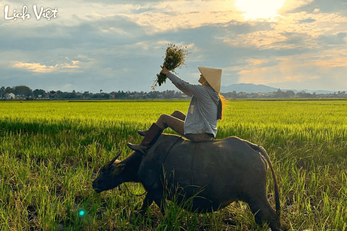 Dành cho những người sinh vào cung Sửu, hãy nhớ rằng mọi khó khăn đều có thể vượt qua nếu bạn giữ vững niềm tin và nỗ lực không ngừng nghỉ.