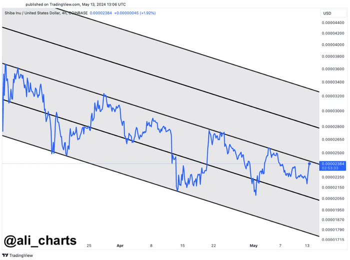 đồng tiền điện tử altcoin-tang