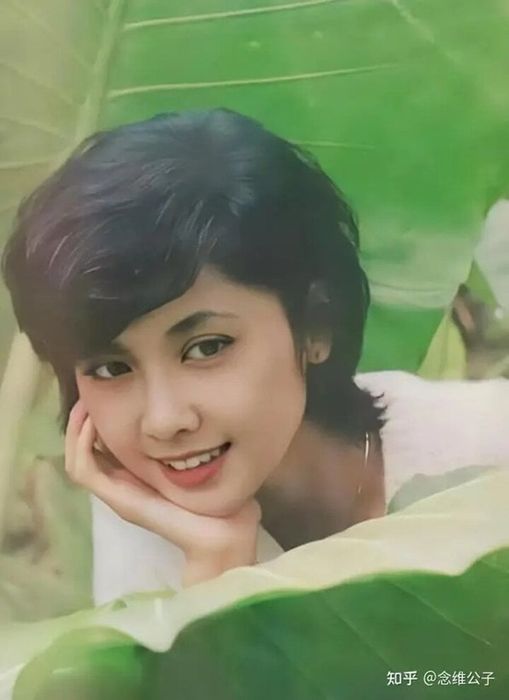 Vẻ đẹp của Chu Lâm khi còn trẻ.