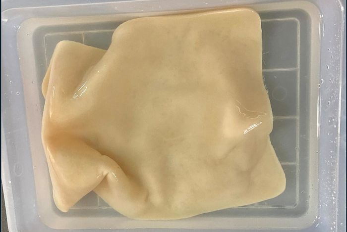 Màng BC được sản xuất từ bùn giấy sau quá trình tiền xử lý. Ảnh: Nhóm nghiên cứu