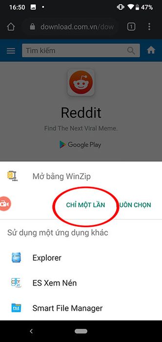 Nữ hoàng băng giá