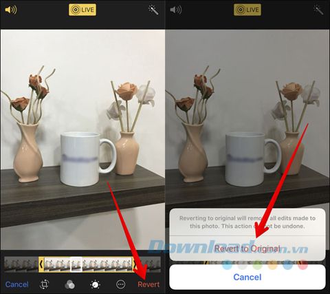 Khôi phục ảnh gốc Live Photo trên iOS 11