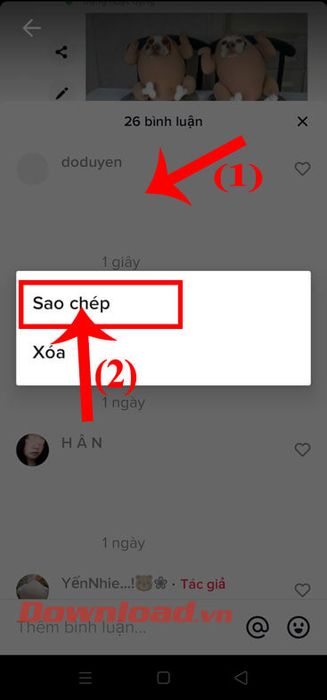 Sao chép bình luận đã chọn