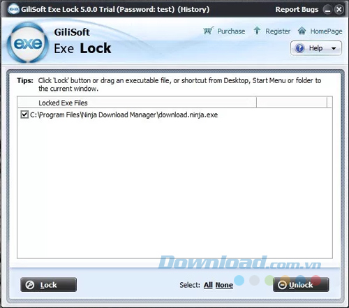 GiliSoft EXE Lock