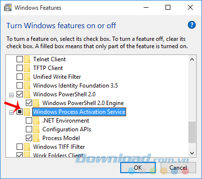 Windows Process Activation Service