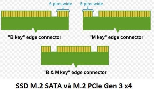 Các loại chân cắm (key) của M2