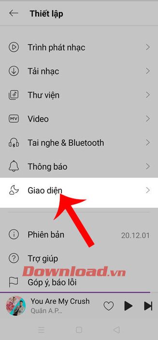 Nhấn vào mục Giao diện 