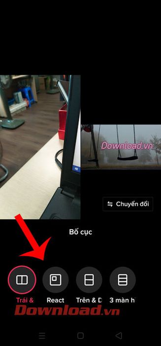 Chọn bố cục