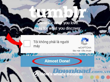 Tumblr