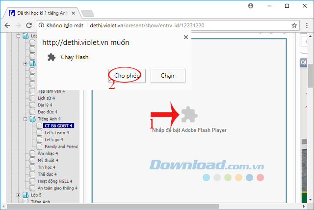 Nhấp để kích hoạt Adobe Flash Player