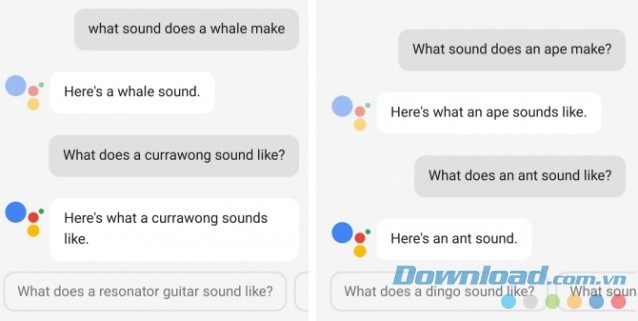 Hỏi về âm thanh của cá voi qua Google Assistant