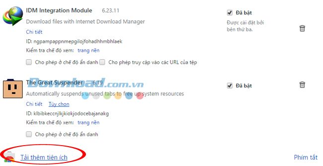 Giải quyết vấn đề khi IDM không thể tải file MP4 trên Chrome