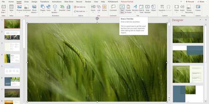 Chèn hộp văn bản vào PowerPoint