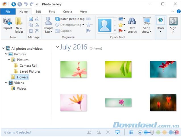 Tải Windows Live Photo Gallery