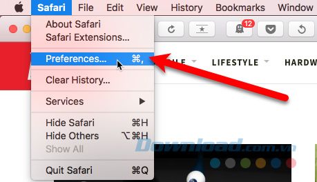 Vào Safari > Preferences