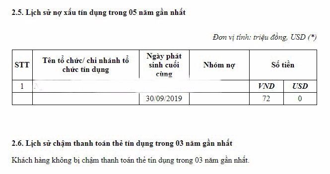 Tình trạng nợ xấu trên CIC