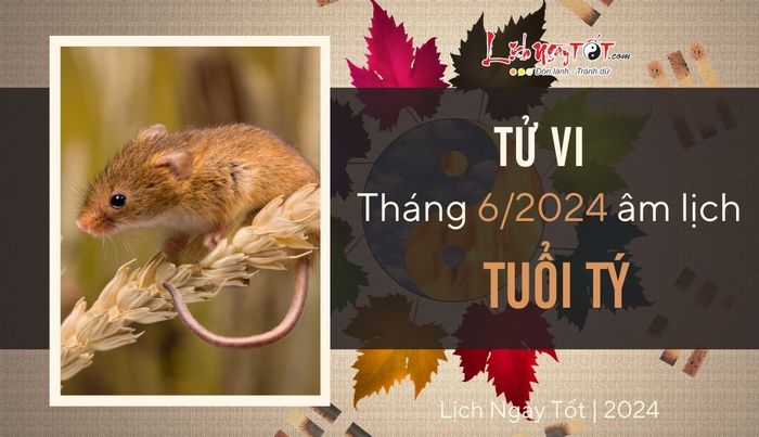 Tử vi tháng 6/2024 cho người tuổi Tý âm lịch